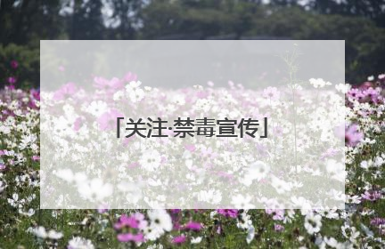 关注·禁毒宣传